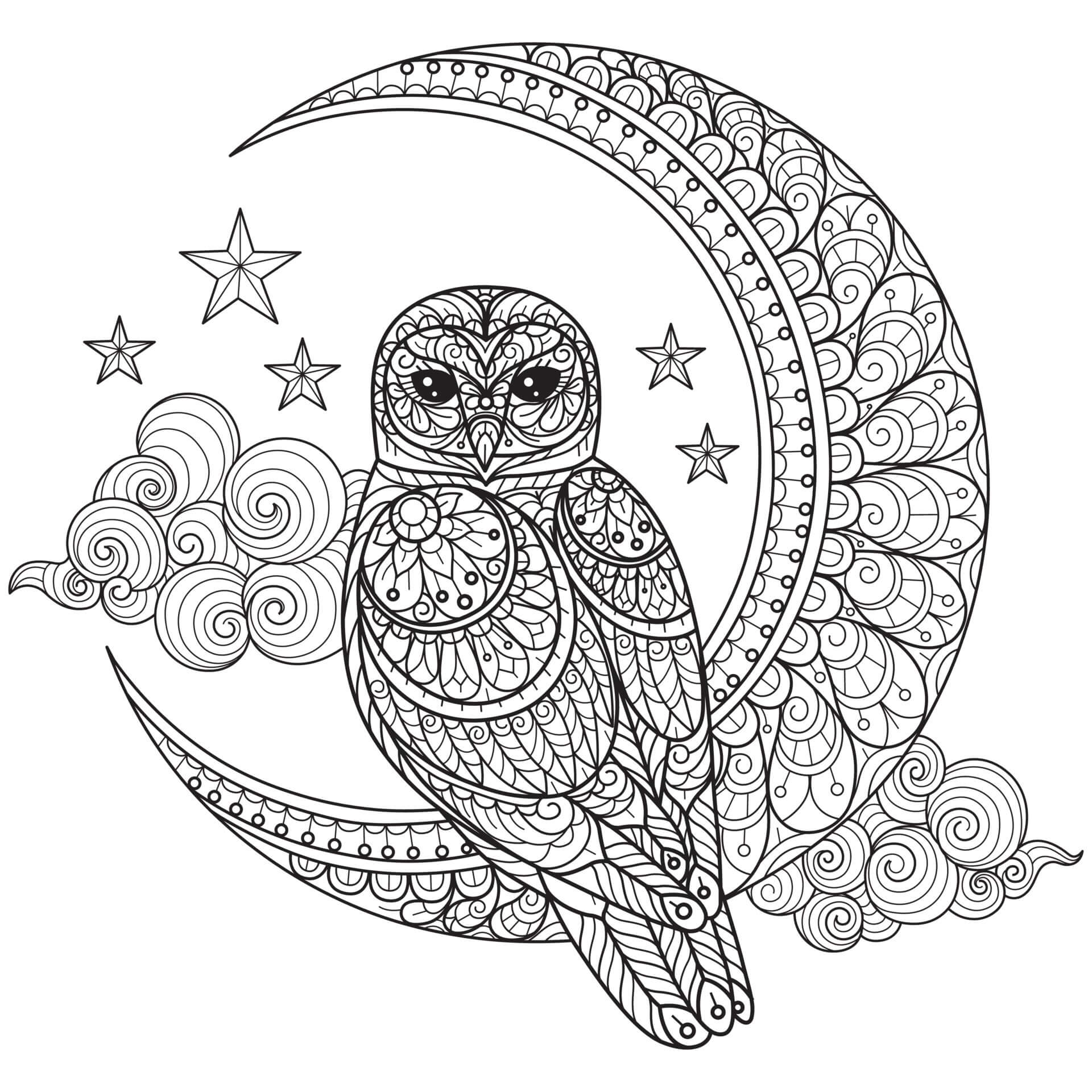 Owl with moon mandala coloring page