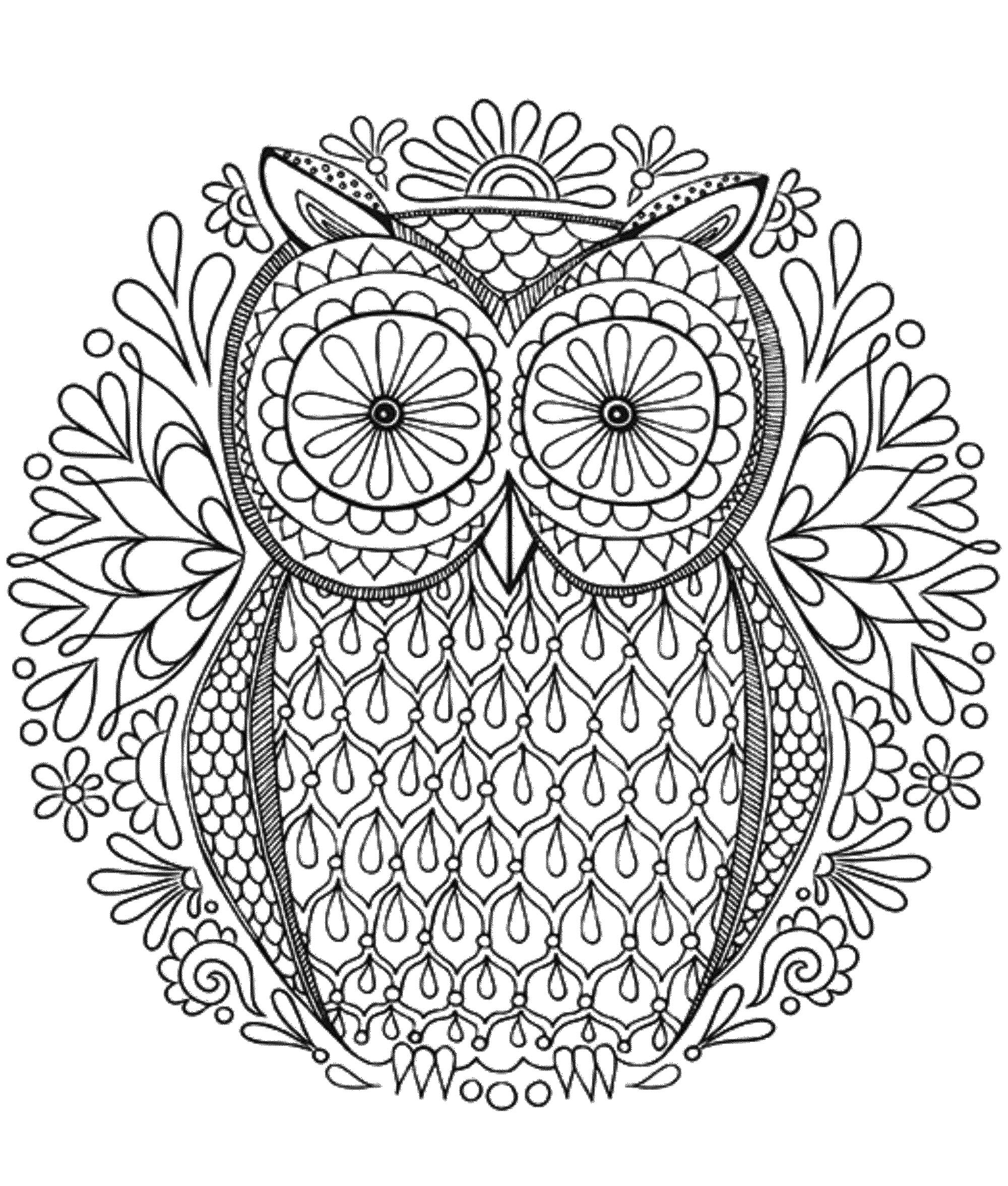 Magical owl with big eyes mandala