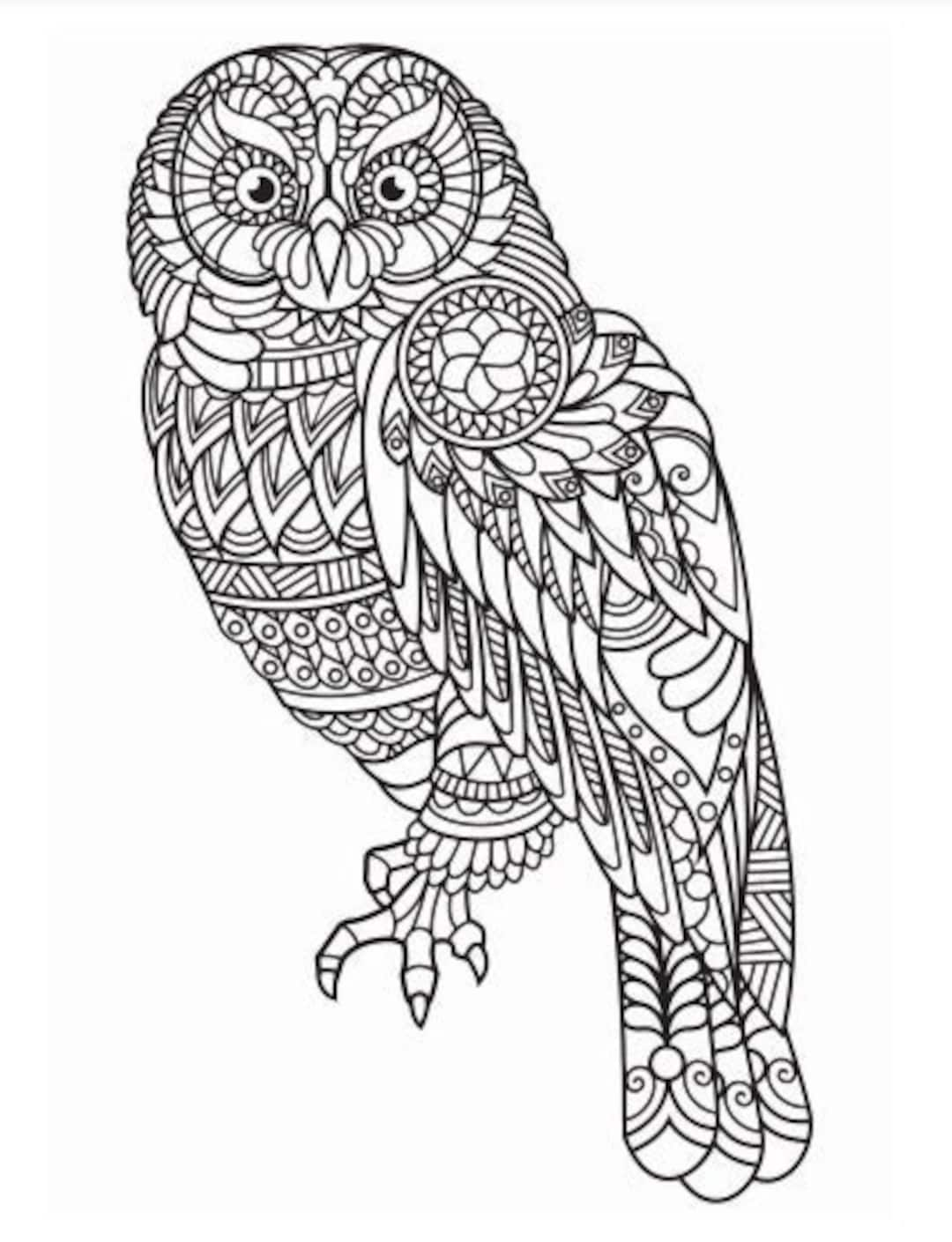 Owl mandala coloring page instant download