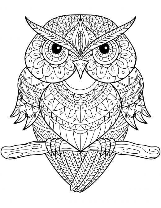 Owl mandala coloring page owl coloring pages mandala coloring pages mandala coloring