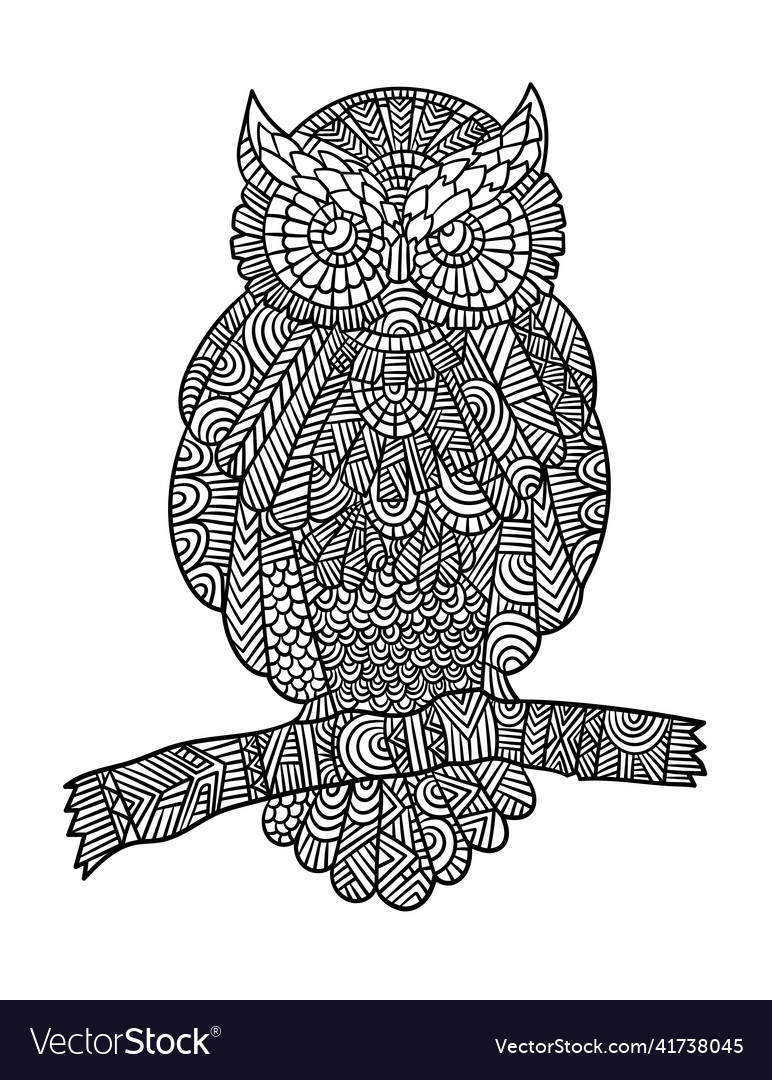 Owl mandala coloring pages for adults royalty free vector