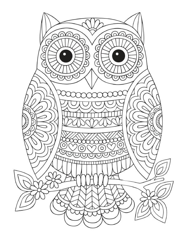 Owl mandala coloring page instant download