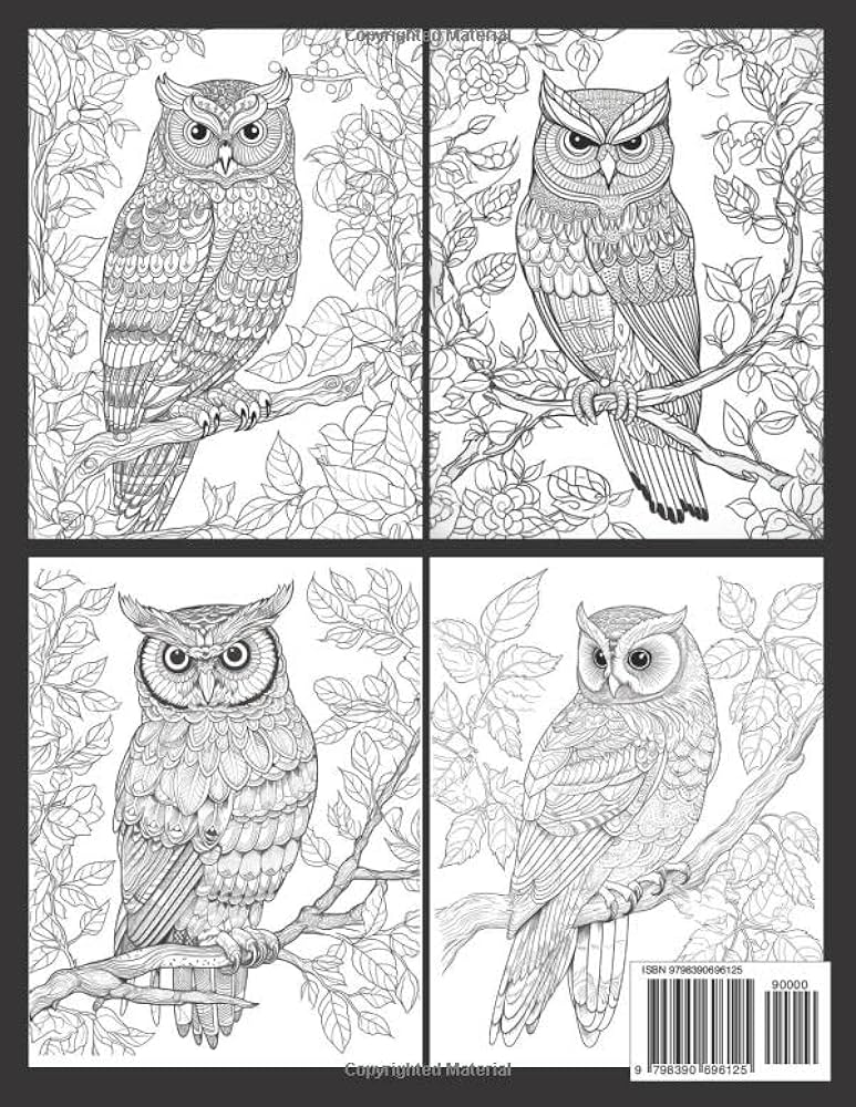 Easy owls mandalas coloring book relaxing owl coloring book beautiful illustration designs coloring pages for adult perfect gifts for man women publishing sami book books