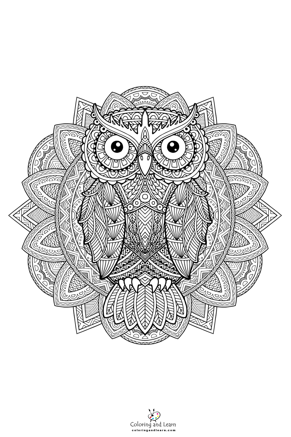 Owl face coloring page