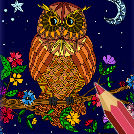 Owl coloring bookcolor by number