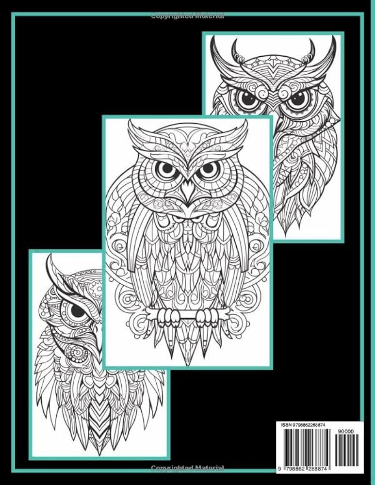 Large print owl mandala coloring book large print mandala designs with blotter pages latta michael books