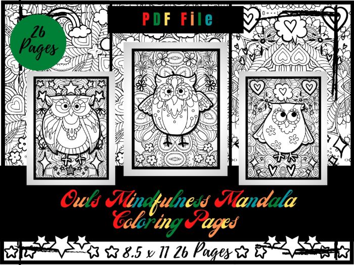 Owls mindfulness mandala colouring pages birds printable colouring sheets pdf teaching resources