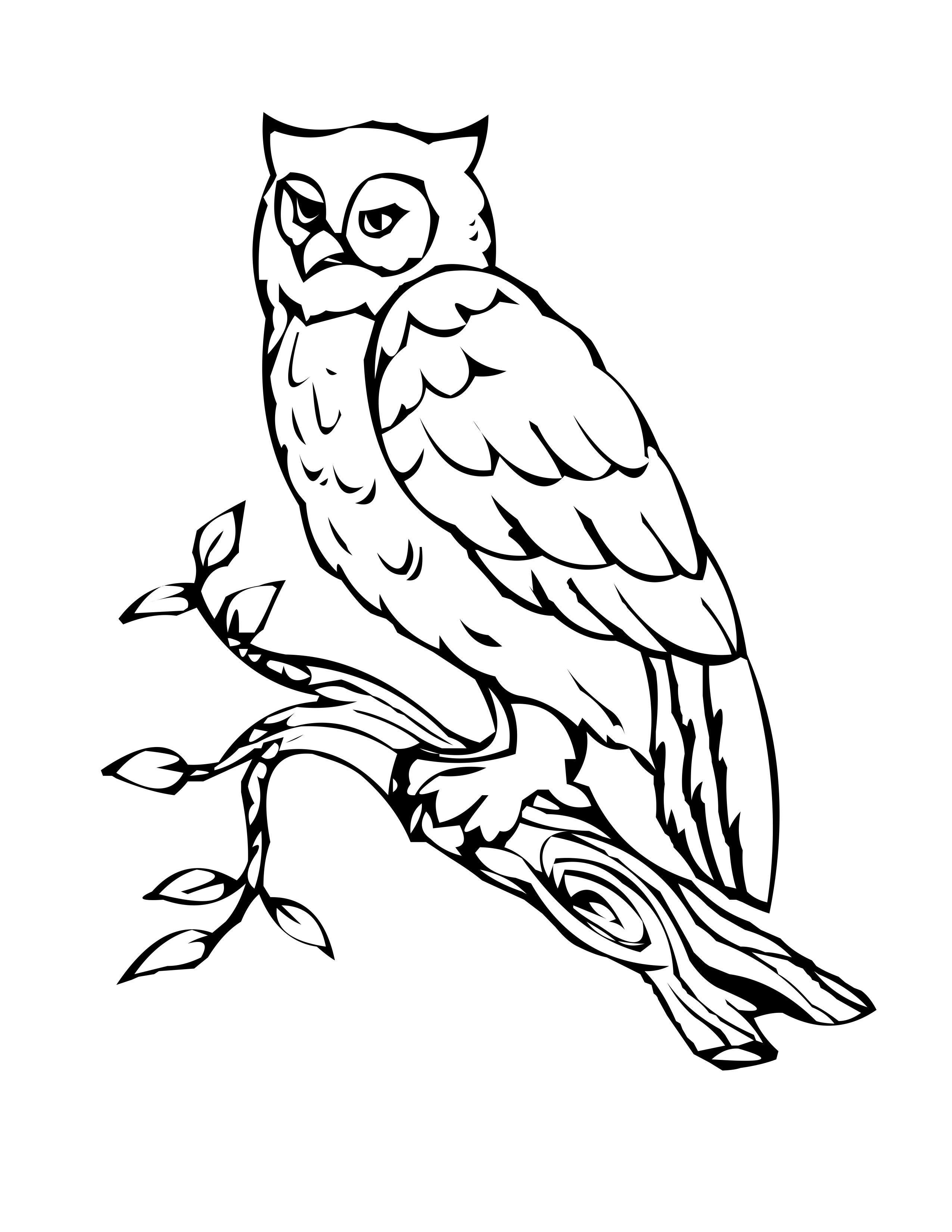 Free printable owl coloring pages for kids