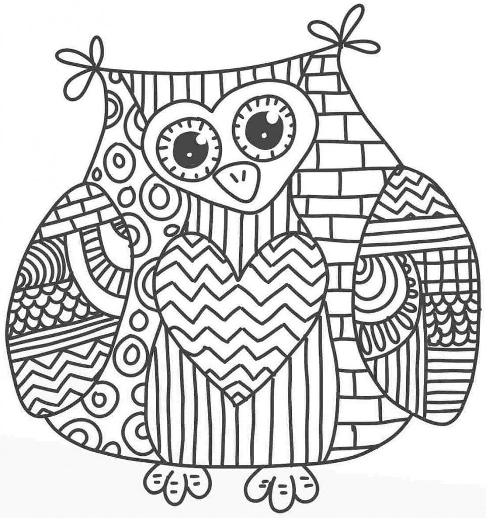 Owl