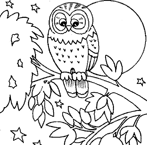 Free printable owl coloring pages for kids