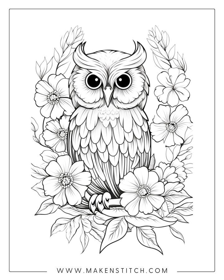 Owls coloring pages for kids and adults