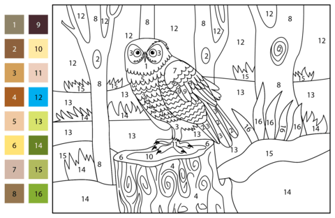 Owl color by number free printable coloring pages