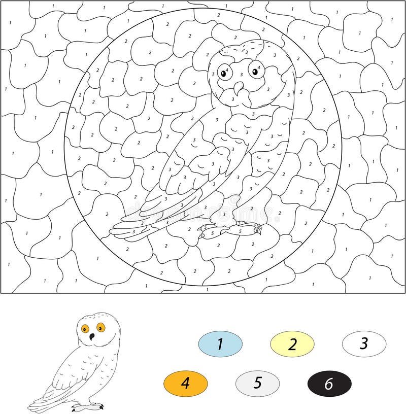 Paint number owl stock illustrations â paint number owl stock illustrations vectors clipart