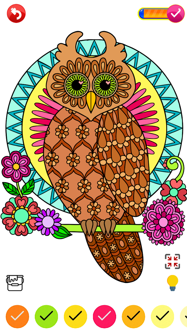 Owl coloring bookcolor by number