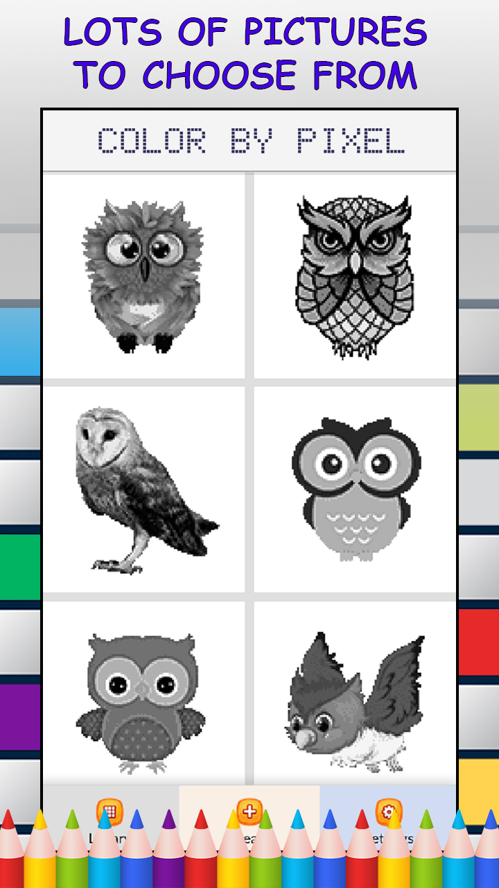 Owls color by number