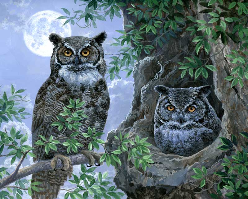 Night owls â masterpiece by numbers