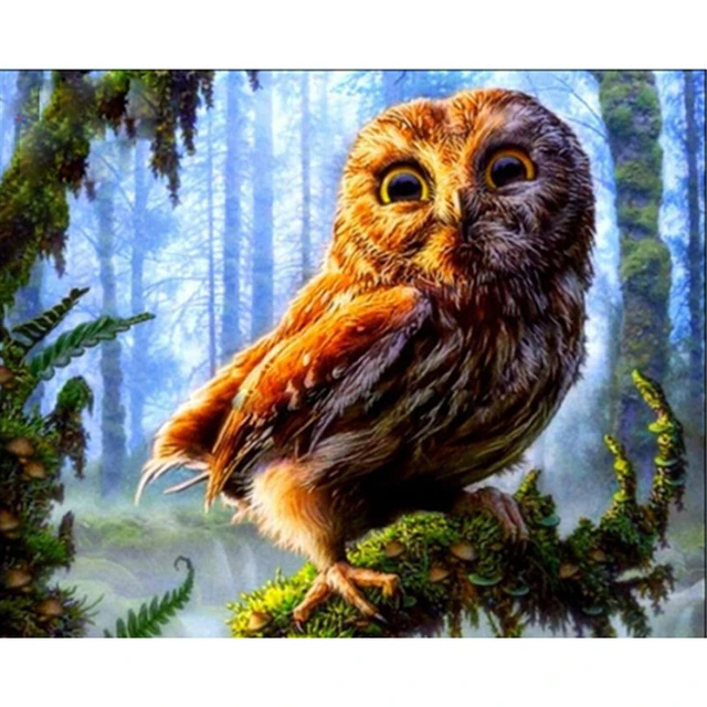 Painting on canvas for drawing owl animal oil picture wall decoration art paint diy kits adults coloring picture by number frame