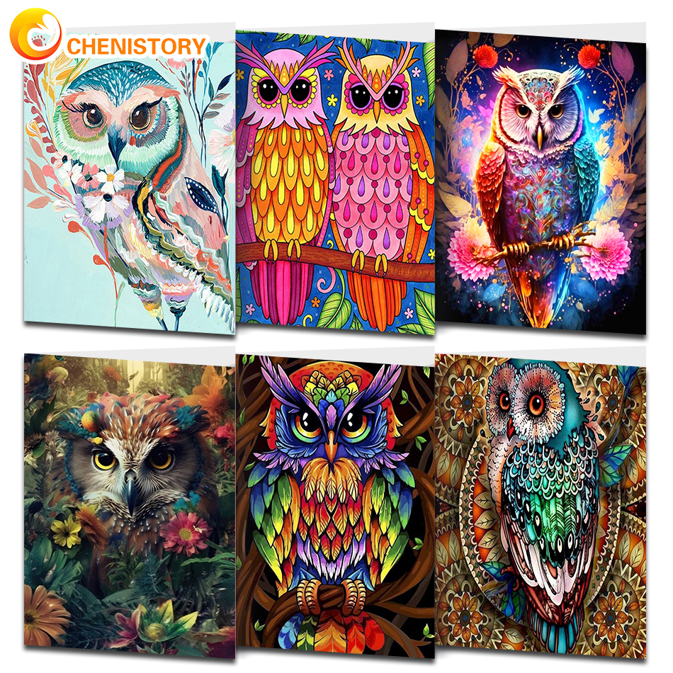 Chenitory owl painting by number on canva acrylic paint for adult diy kit picture drawing coloring by number home decor wall