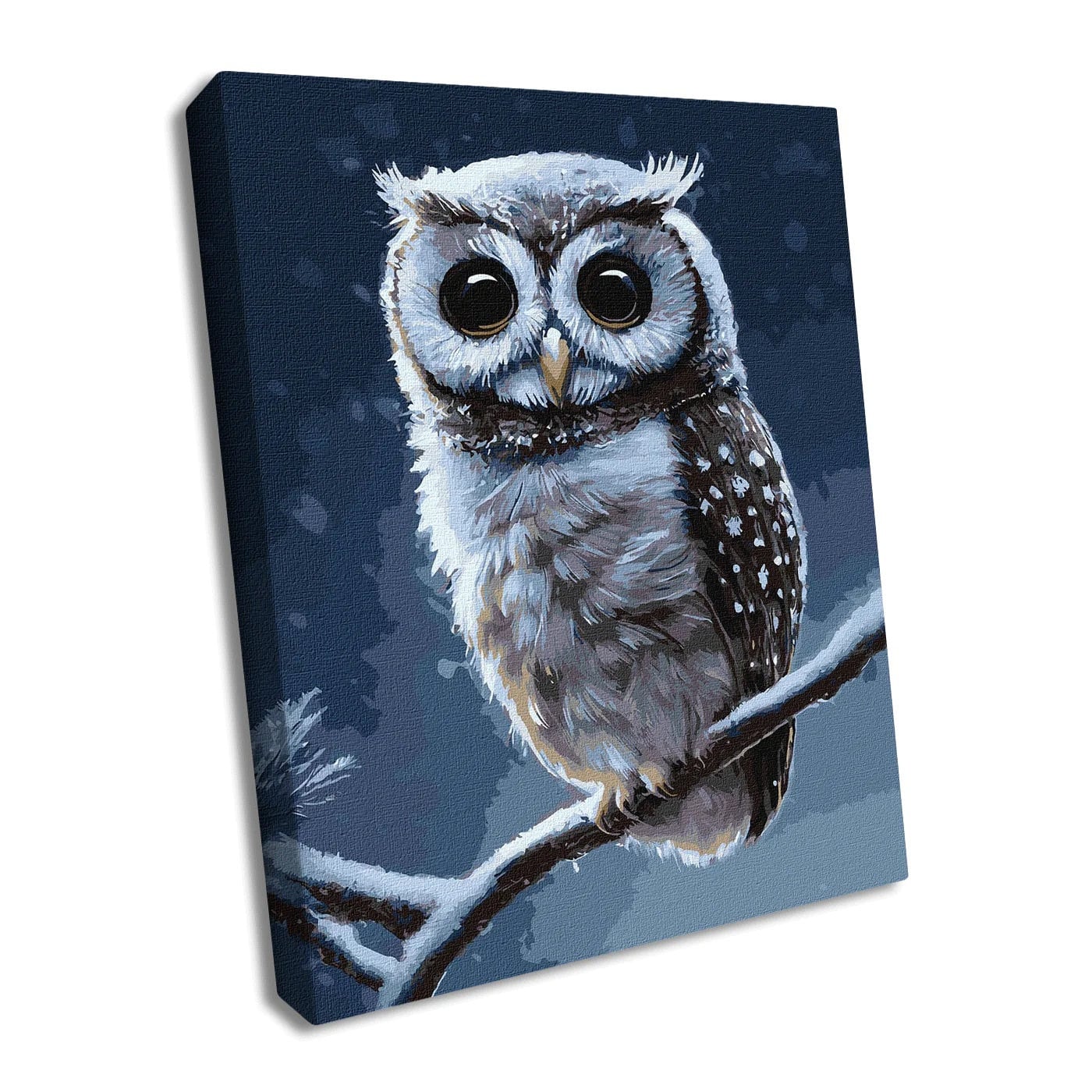 Paint by number kit owl