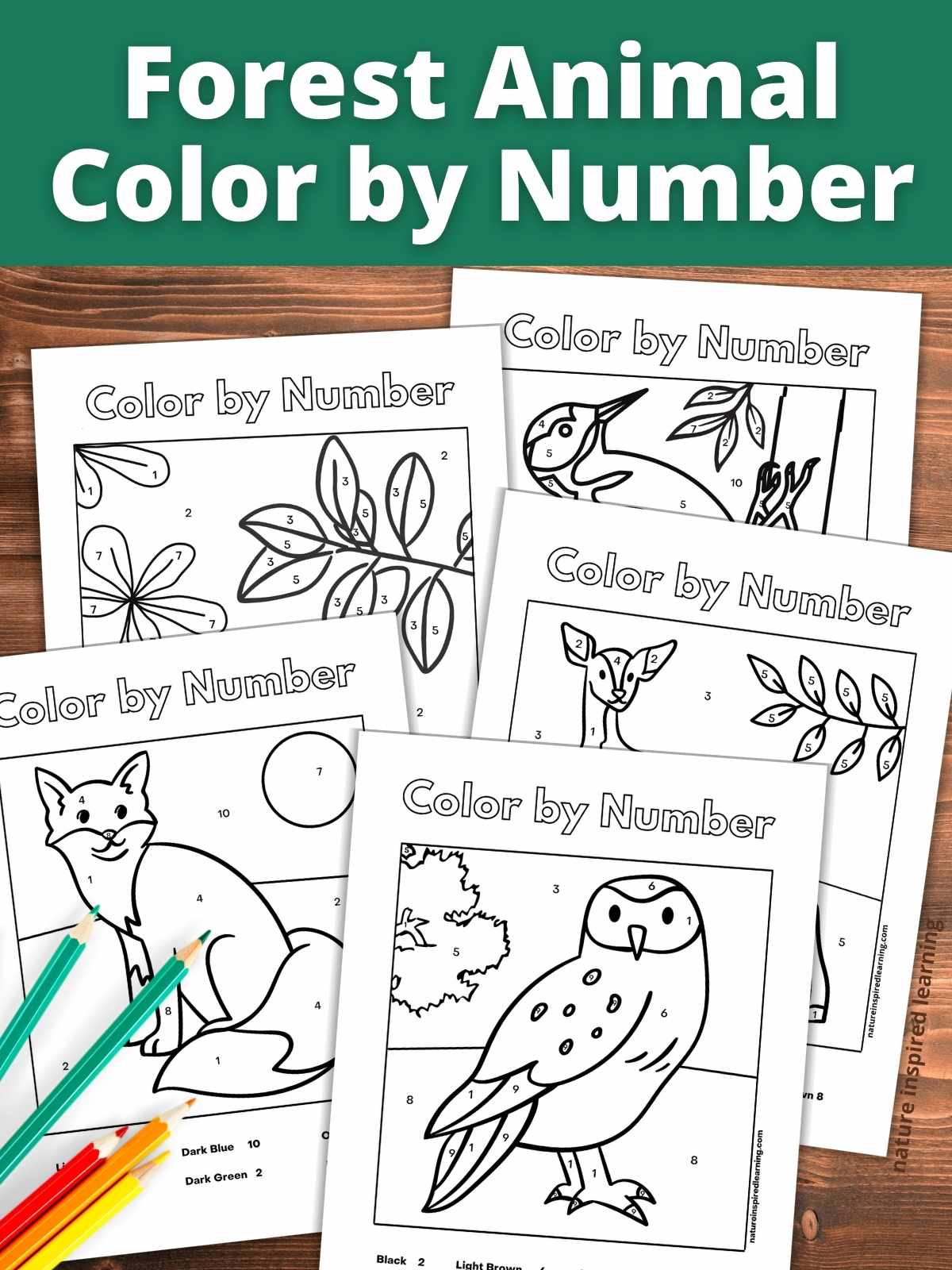 Animal color by number worksheets