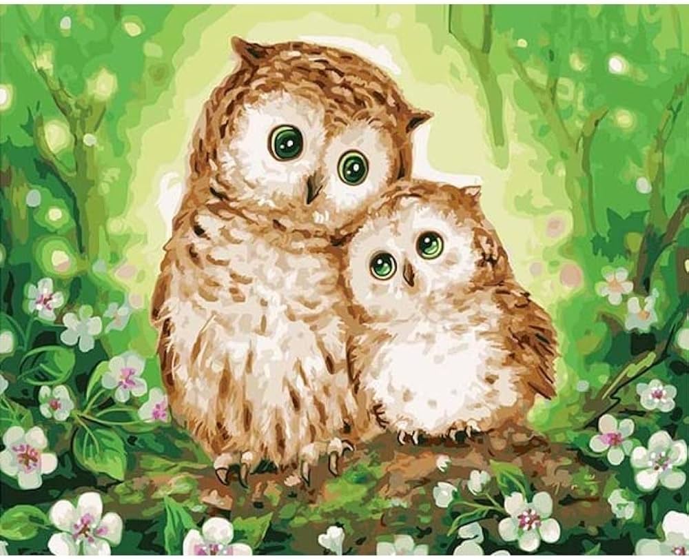 Owl painting by number on nvas acrylic paint for adults diy kits picture drawing coloring by number with frame home decor art a xcm home