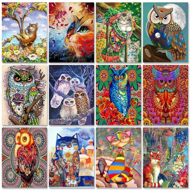 Coloring paintings numbers painting number adults owl pictures numbers frame owl