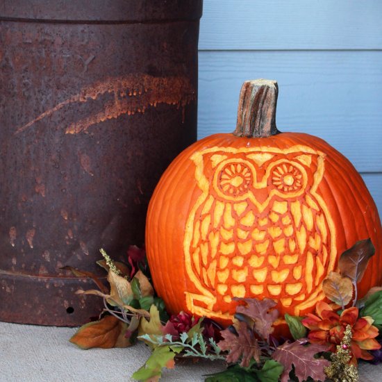 Woodland owl pumpkin pattern