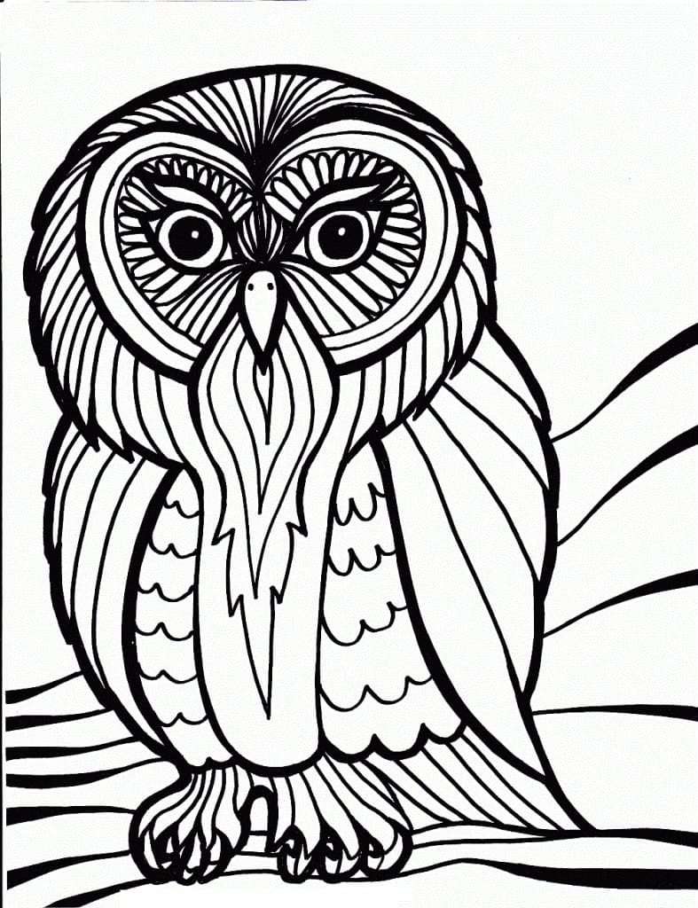 Owl for free coloring page