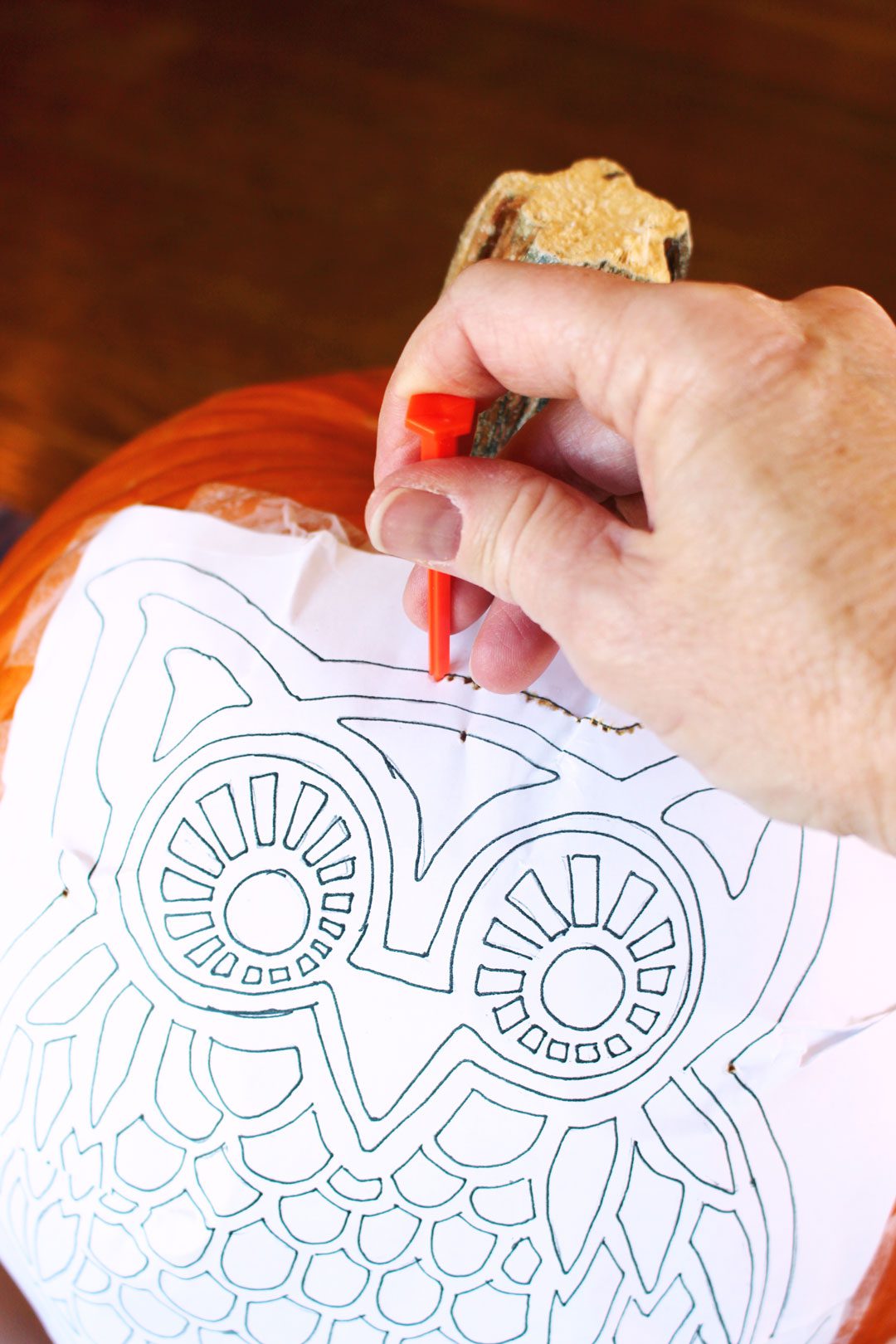 Woodland owl pumpkin carving deluxe