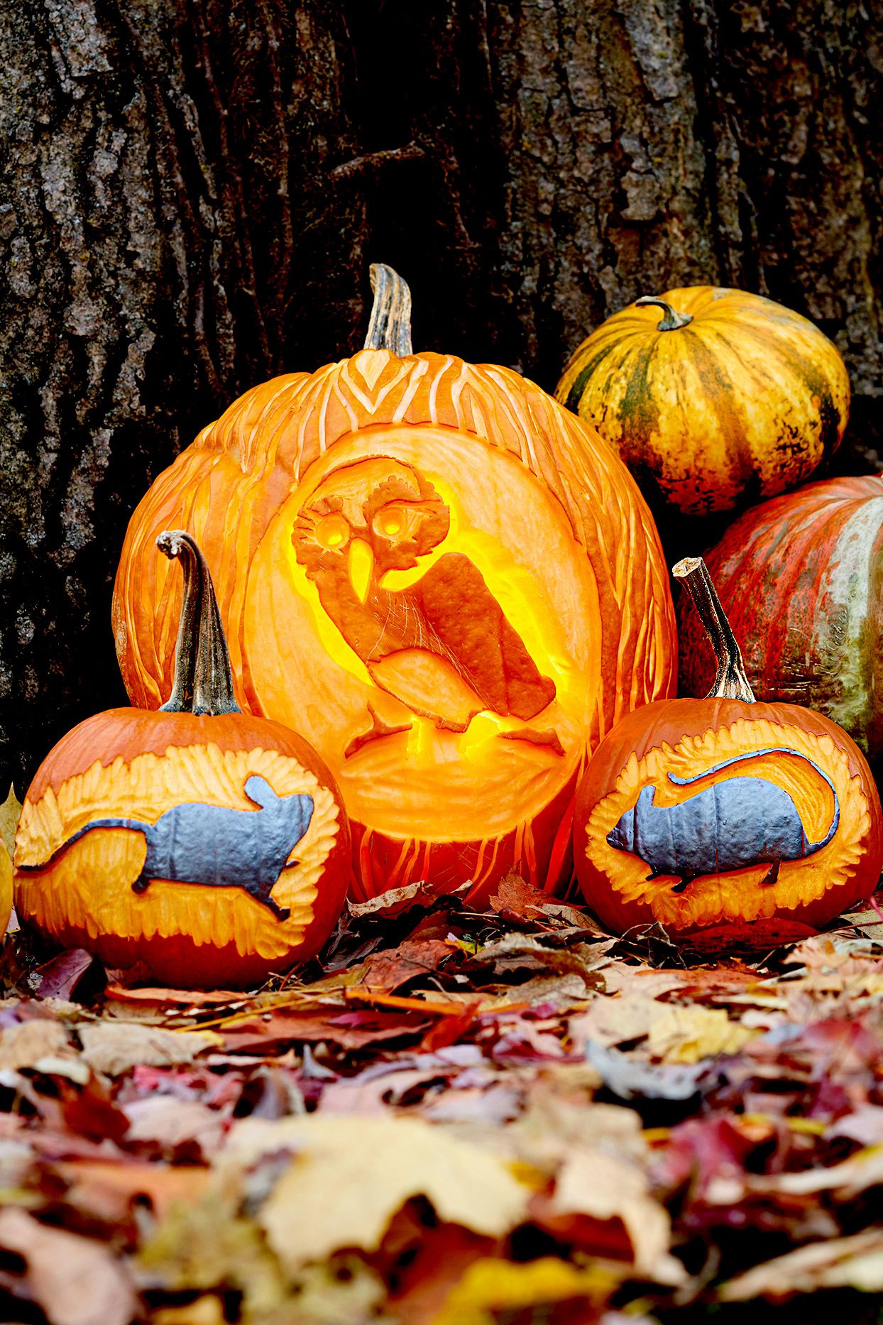 Adorable and free woodland creature pumpkin stencils