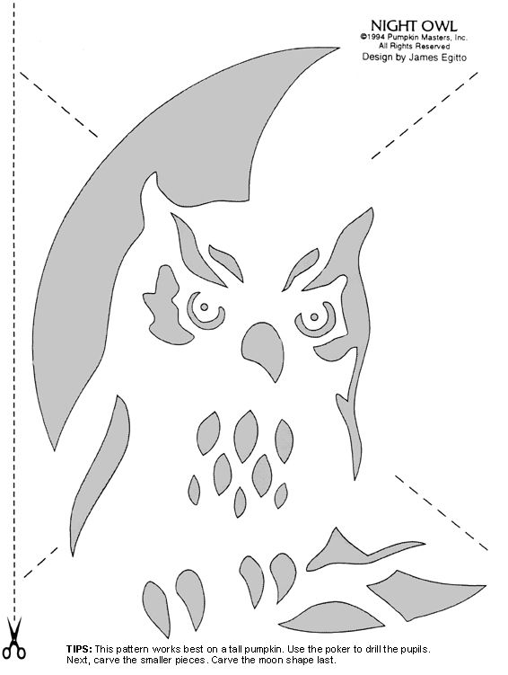 Carve pumpkins into birds with these stencils owl pumpkin carving pumpkin carving patterns pumpkin carvings stencils