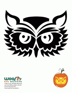 Owl pumpkin carving stencils woo jr kids activities childrens publishing