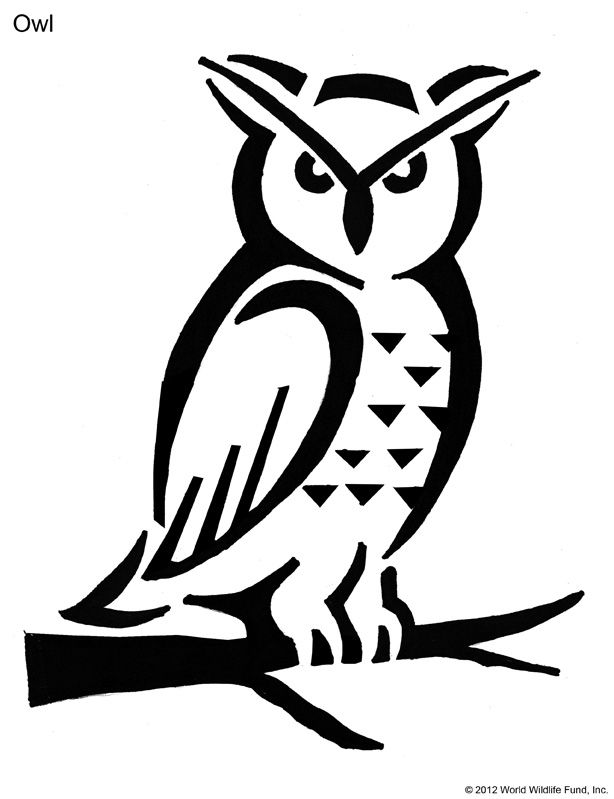 Owl pumpkin carving stencil owl stencil owl pumpkin stencil pumpkin carvings stencils