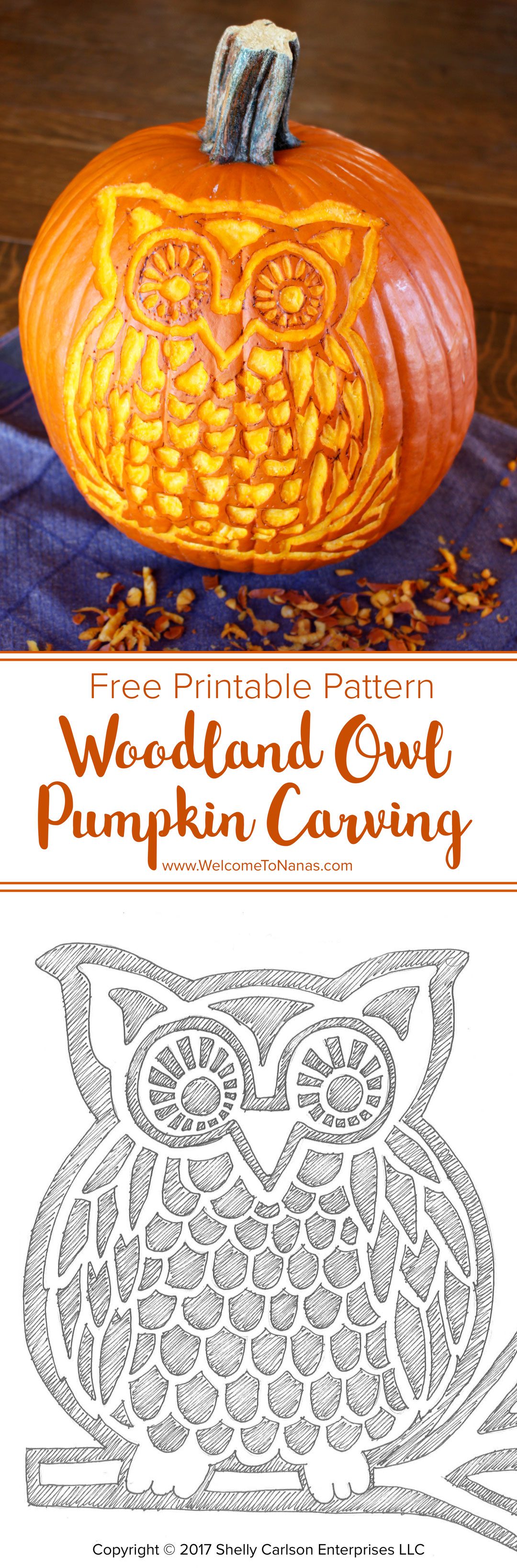 Woodland owl pumpkin carving deluxe