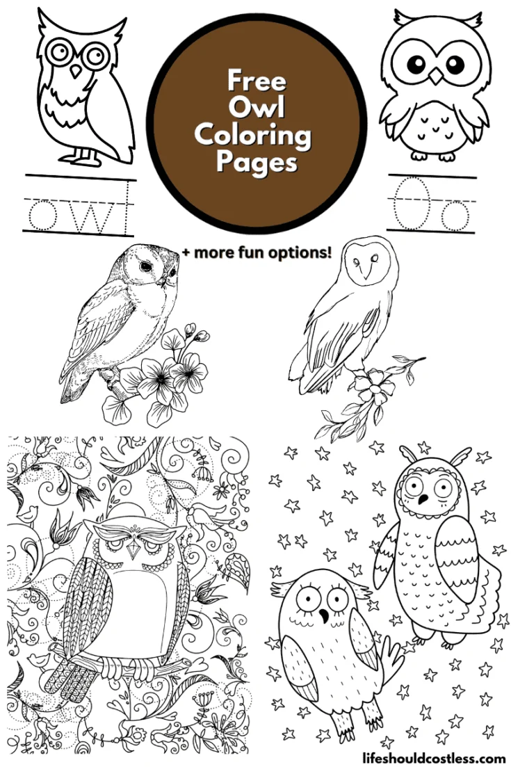 Owl coloring pages free printable pdf templates