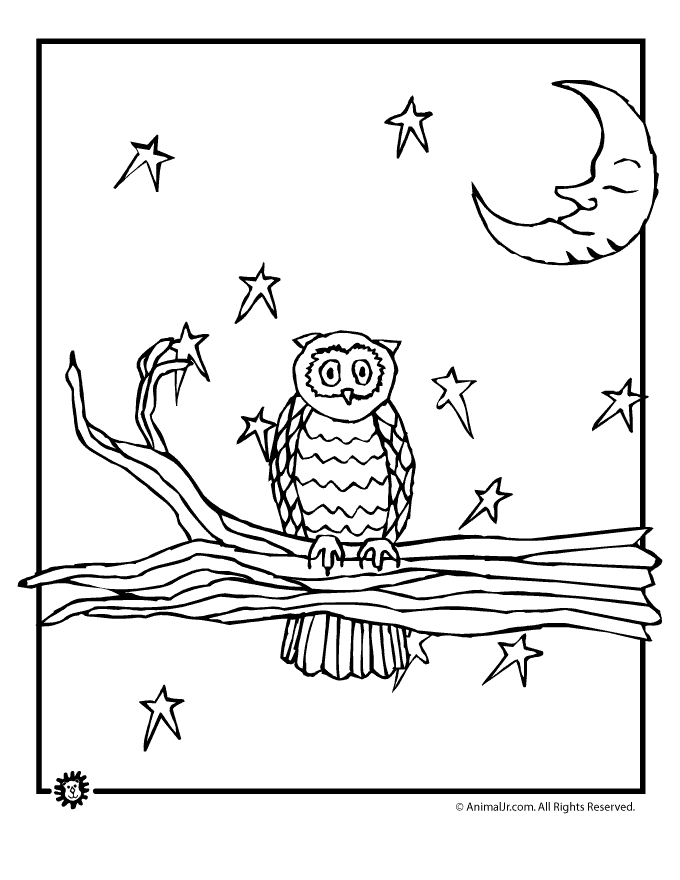 Owl coloring pages woo jr kids activities childrens publishing