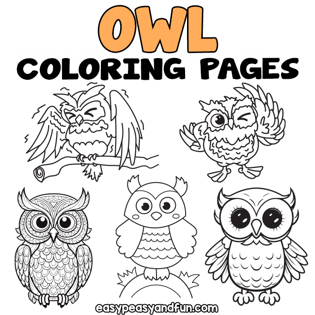 Owl coloring pages â printable sheets