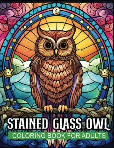 Stained glass owls coloring book for adults stained glass owls windows patterns adults coloring book for relaxation stress relief meditation by barman barman