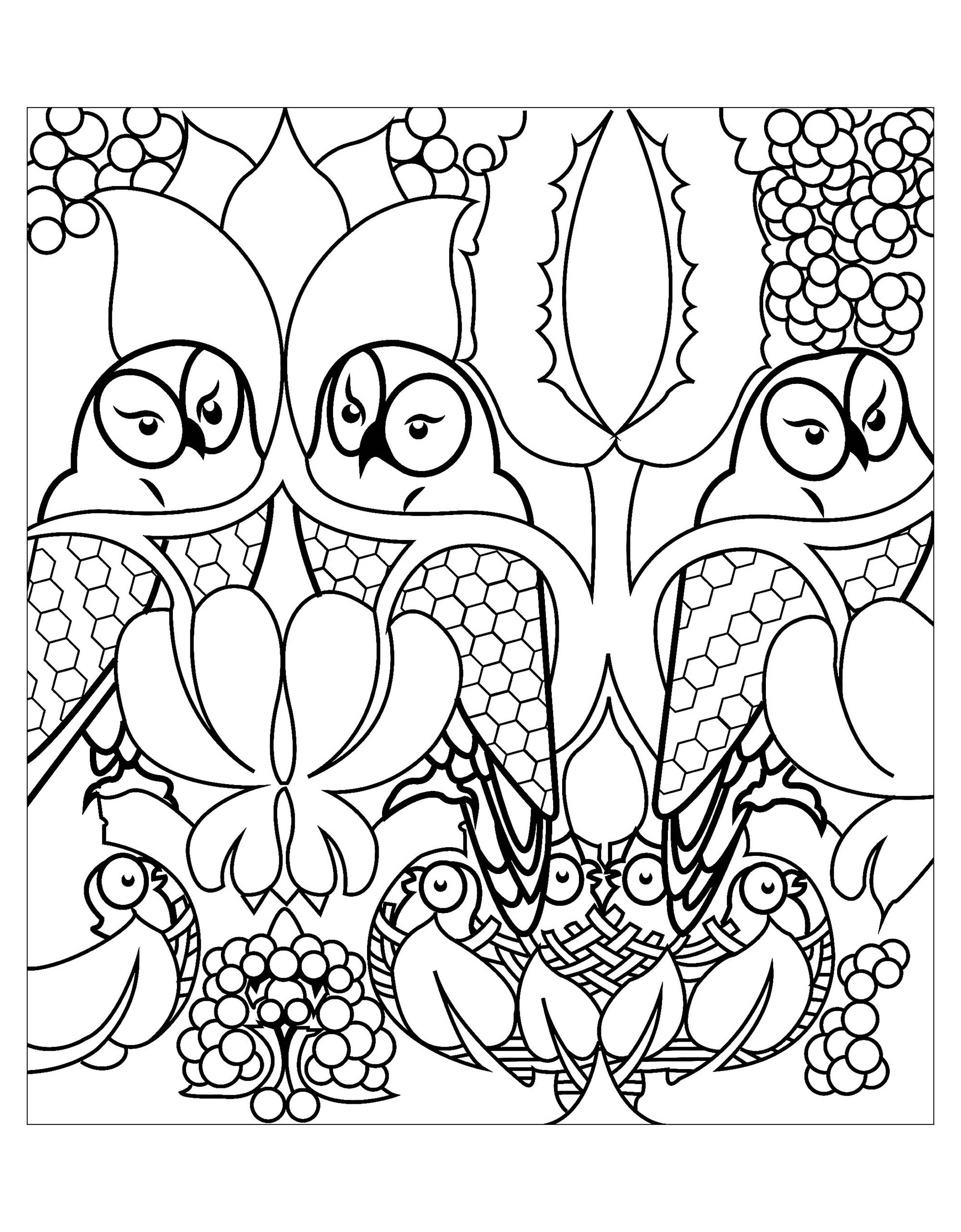 Owl coloring pages for kids