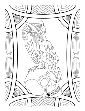 Owl themed adult coloring book