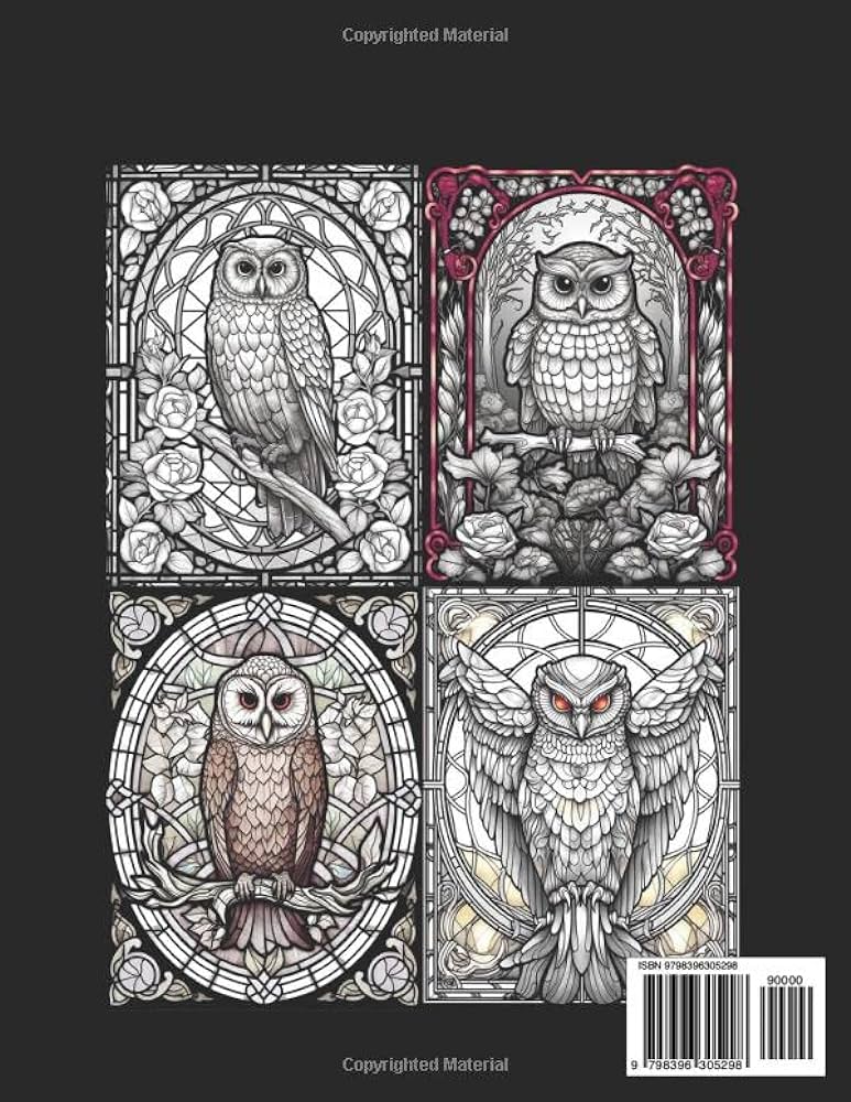 Stained glass owls coloring book for adults stained glass owls windows patterns adults coloring book for relaxation stress relief meditation barman barman books