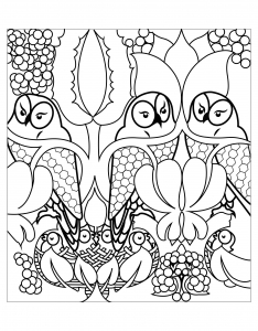 Pretty owl to color