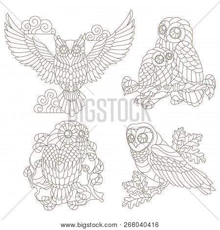 Set contour vector photo free trial bigstock