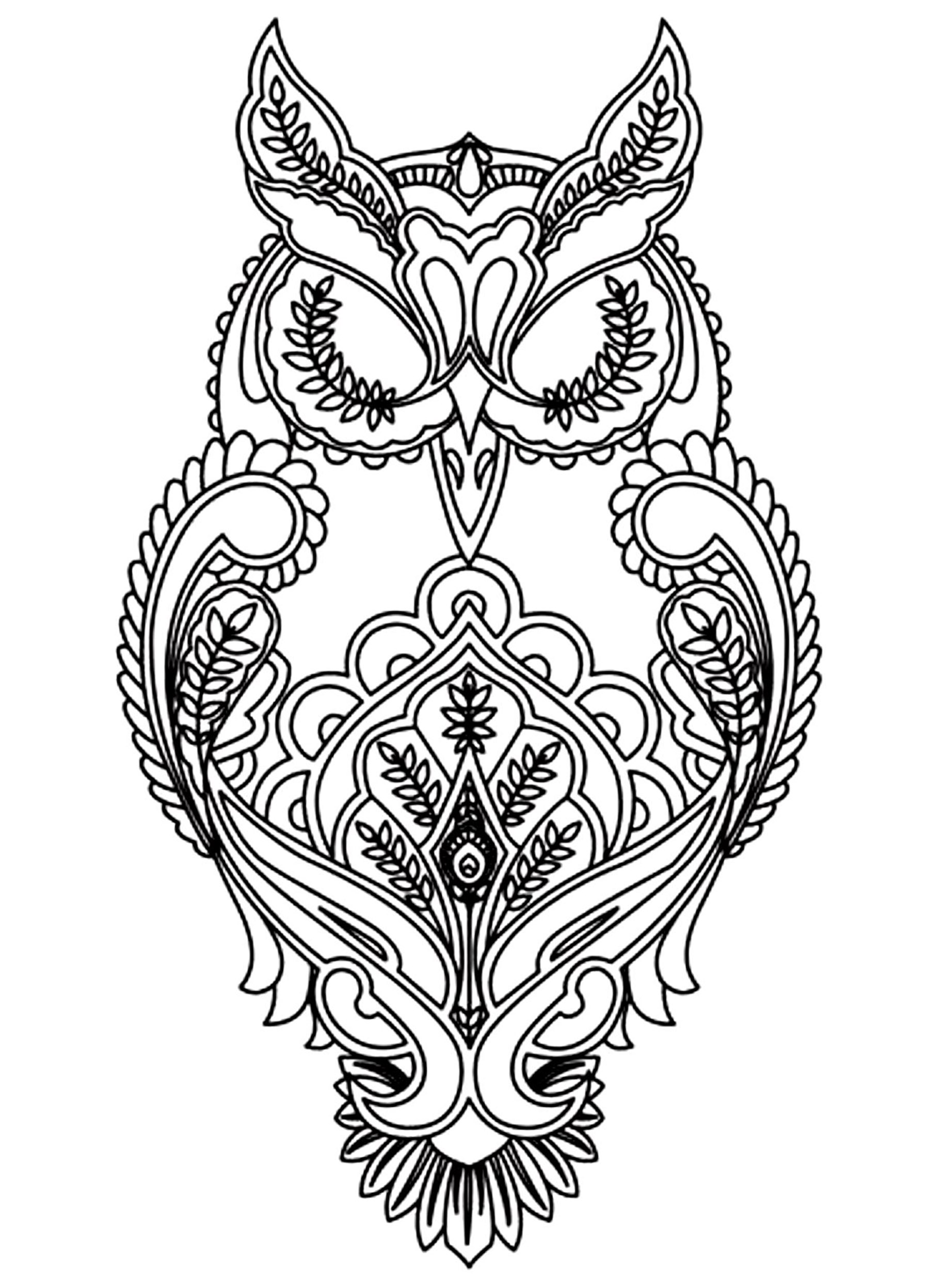 Owl