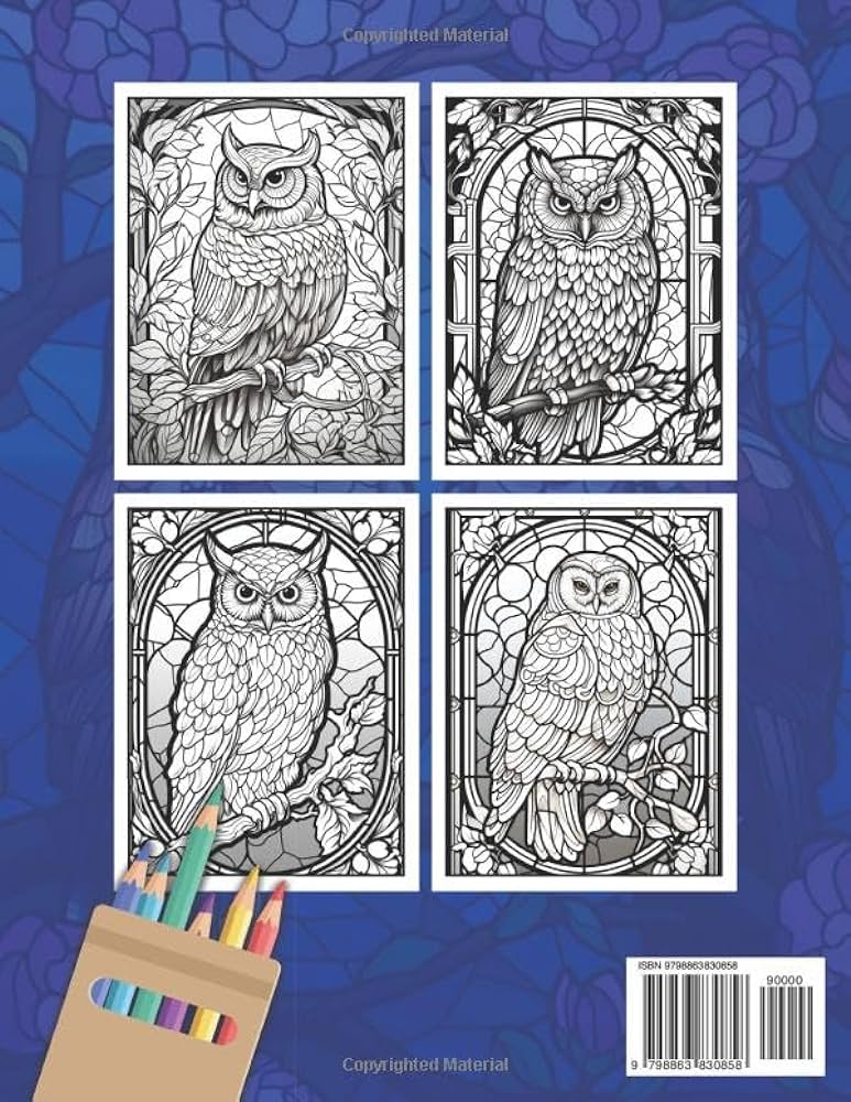 Stained glass owls coloring book a unique stained glass coloring book journey into the enchanting world of stained glass owls for relaxation and stress relief jk chibi zara books