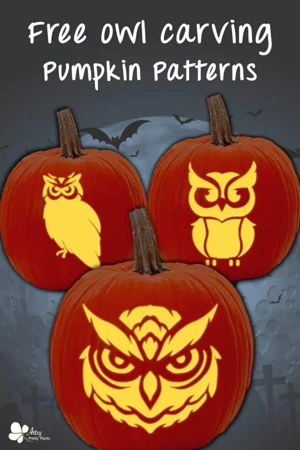 Owl pumpkin carving patterns free stencils