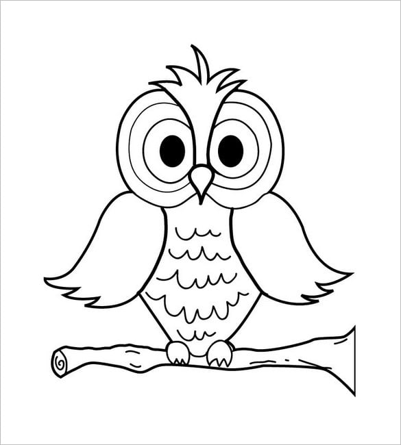 Owl shape