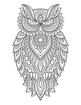 Owl coloring pages images â browse photos vectors and video