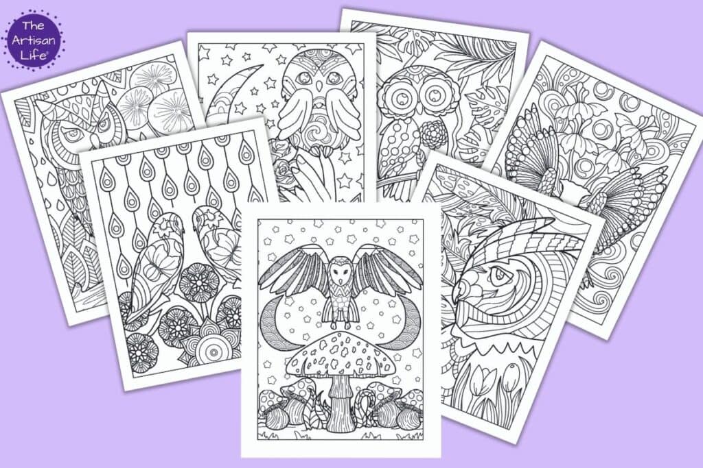 Free printable owl coloring pages for adults