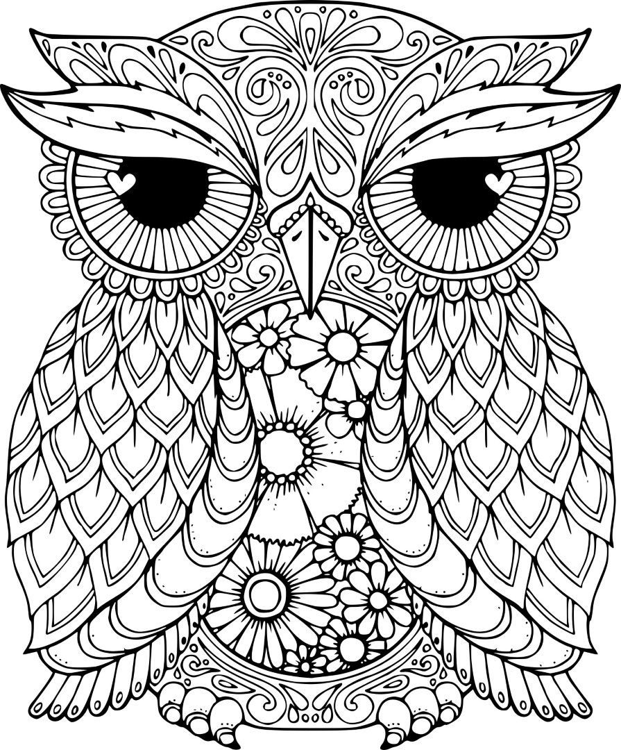 Printable coloring pages owl coloring pages mandala coloring pages bird coloring pages